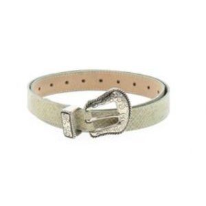 emporio armani silverbeigegreen vintage snake embo